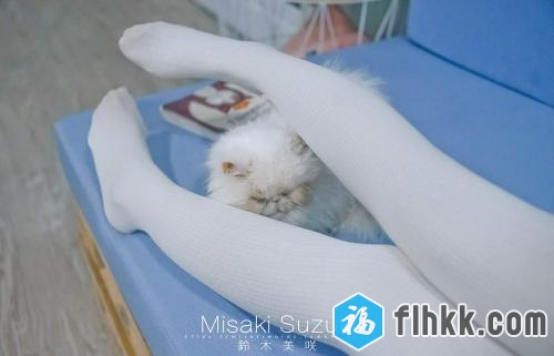 铃木美咲写真收录：猫咖咖啡厅[48P1V]-福利好好看