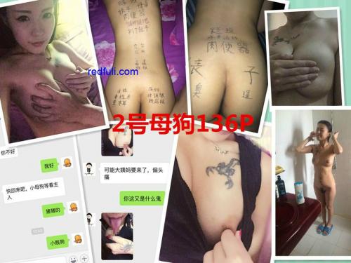 国内稀有sm资源-最新超值珍藏版，特殊渠道购得《小伙子硬生生把小清新女友调教成母狗，内容各种虐！》背后不为人知的秘密1000P+44V-福利好好看