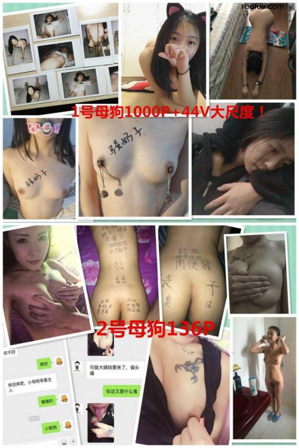 国内稀有sm资源-最新超值珍藏版，特殊渠道购得《小伙子硬生生把小清新女友调教成母狗，内容各种虐！》背后不为人知的秘密1000P+44V-福利好好看