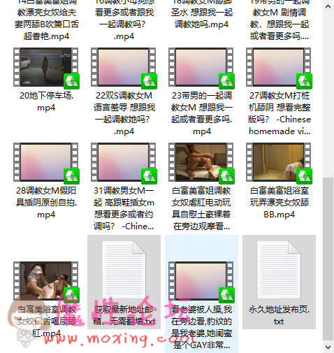 前一阵子很火的白富美富姐TJ女奴合集22V-福利好好看