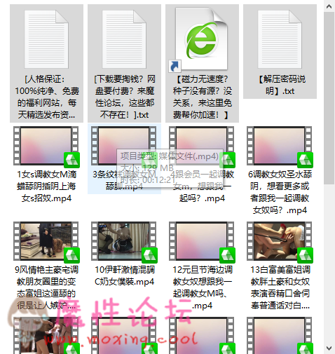 前一阵子很火的白富美富姐TJ女奴合集22V-福利好好看