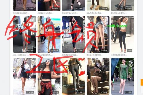 街拍VIP整站不完全资源压缩包共享1.5 T-福利好好看