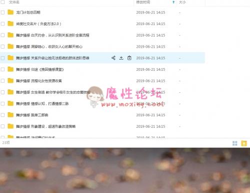 大神教你把妹 视频讲解 100V26.35G-福利好好看
