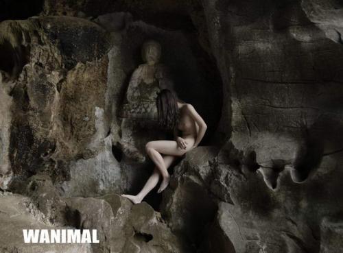 WANIMAL王动 Tumblr博客写真作品全集 [5982P24V]-福利好好看