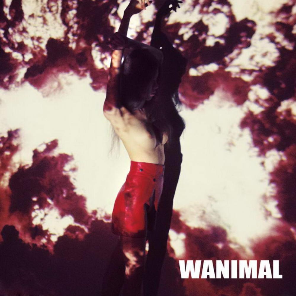 WANIMAL王动 Tumblr博客写真作品全集 [5982P24V]-福利好好看