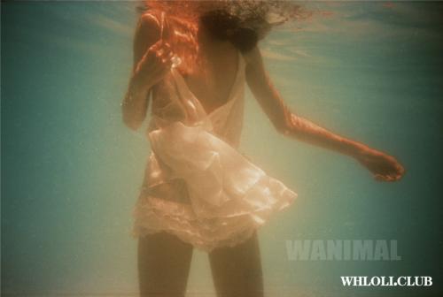 [WANIMAL 2014年 作品合集[344P/120M]-福利好好看