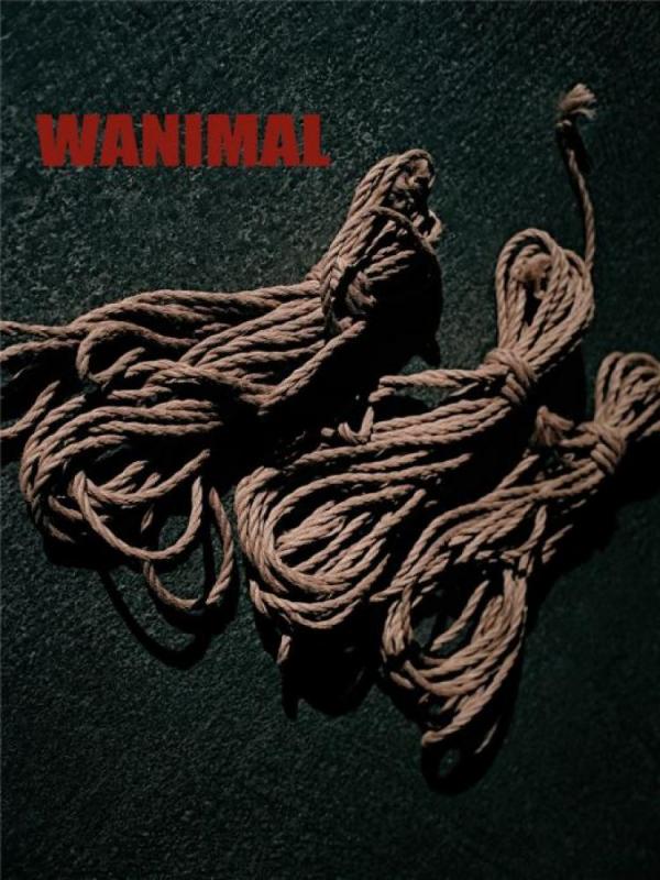 王动WANIMAL 2019-06 作品 [246P+2V1.17G]-福利好好看