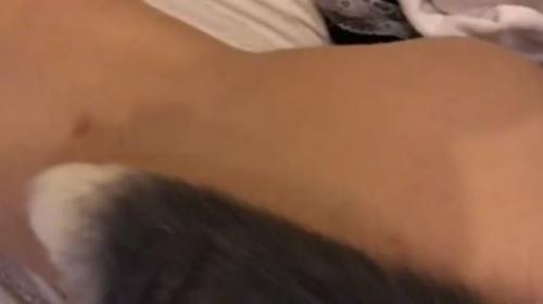 微博红人@[押尾猫]系类之戴着毛毛肛塞拴狗链啪啪原版高清1V[50.14M]-福利好好看