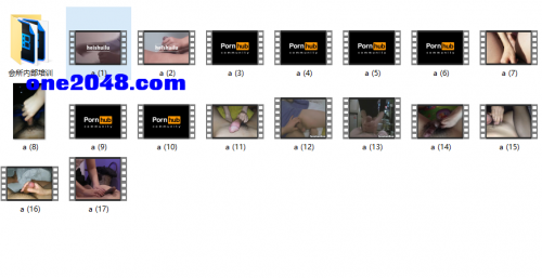 精彩的手活系列（含会所培训2v）[AxG1195/19v/2.53G]-福利好好看