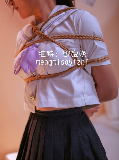 推特女神野良猫尺度福利资源16P26V-福利好好看