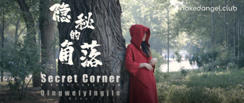 DensTinon北京天使捷哥Qinweiyingjie20年7月7号最新作品《隐秘的角落》-撸先生