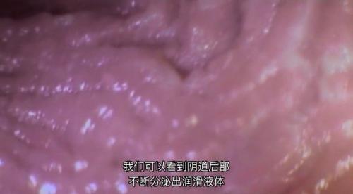 [精选欧美高清视频]21世纪性爱指南（8集中文字幕）让你全方位了解性3.1G-福利好好看