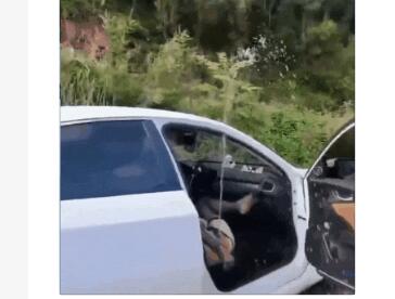 绿帽性爱狂超级调教女奴甄选餐桌下口交KTV包厢各种爆Q操一流女神被玩弄的毫无人性-撸先生