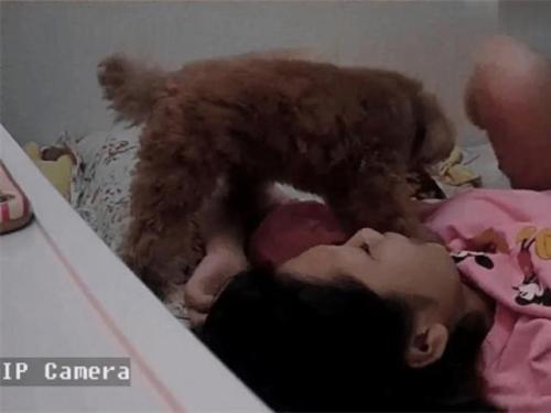 [最新流出破解摄像头]年轻情侣73分钟2次性爱啪漂亮女主多次高潮超近距离小狗也想参战?-福利好好看