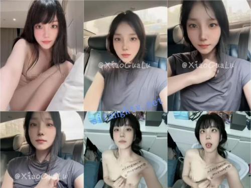 推特XiaoGuaLu小瓜陆露脸露点户外车上露出性诱惑等27V-福利好好看