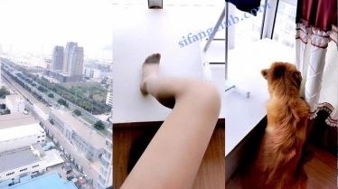 【娃尔baby】妹子大白天在窗户口大尺度直播 大黑牛跳蛋自慰-福利岛