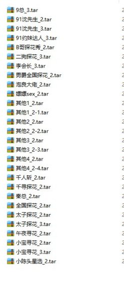 探花直播 精选80G合集