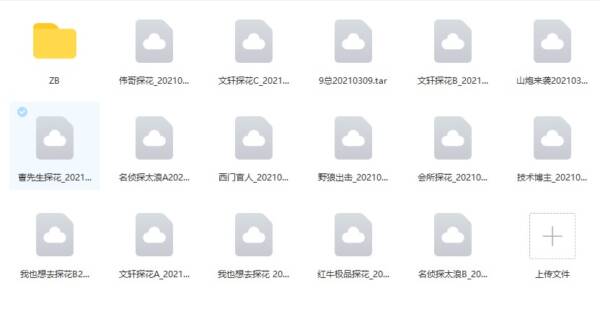3.06-3.09 直播探花合集 已分开 195G