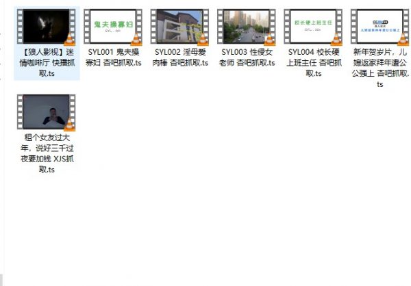 杏吧贺岁片 SYL 1-4 7V 2.1G